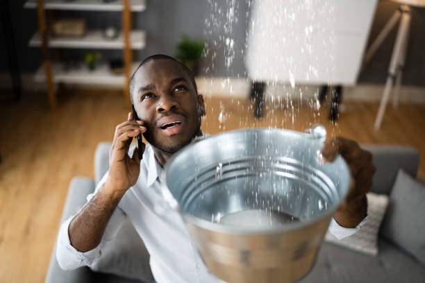 Best Water damage cleanup near me  in Toppenish, WA