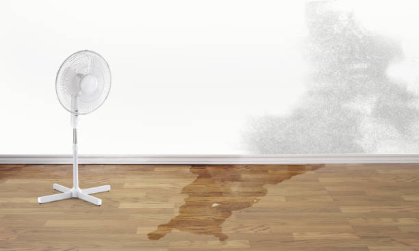 Best Water damage restoration company  in Toppenish, WA