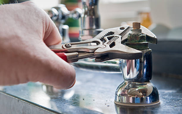 Best Mold removal after water damage  in Toppenish, WA
