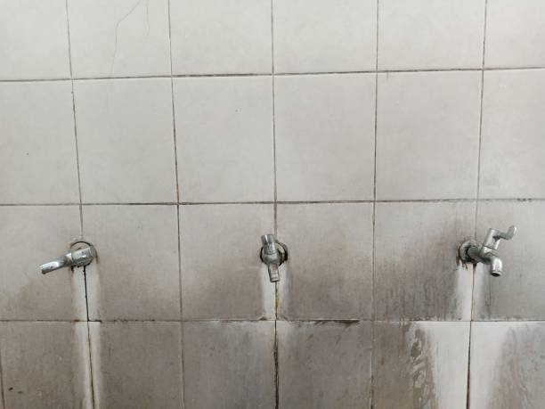 Best Flood damage cleanup  in Toppenish, WA