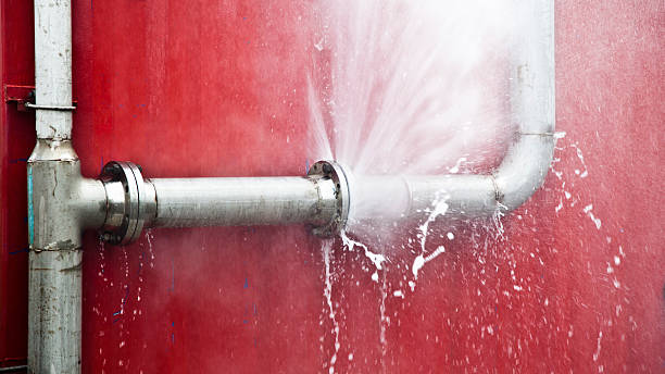 Best Local water damage restoration  in Toppenish, WA